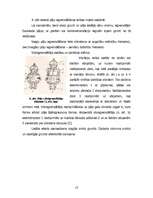 Referāts 'Pāļu gremdiekārtas', 13.