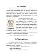 Referāts 'Pāļu gremdiekārtas', 14.