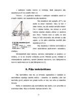 Referāts 'Pāļu gremdiekārtas', 15.