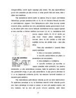 Referāts 'Pāļu gremdiekārtas', 17.