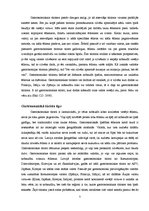 Referāts 'Interešu tūrisms', 7.