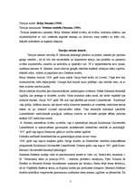 Referāts 'Māszinību teorijas', 3.