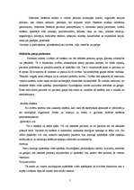 Referāts 'Māszinību teorijas', 5.