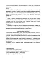 Referāts 'Māszinību teorijas', 11.