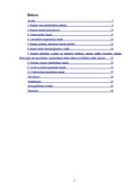 Prakses atskaite 'Prakses pārskats a/s "Hansabanka" (Swedbank)', 2.