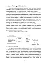 Prakses atskaite 'Prakses pārskats a/s "Hansabanka" (Swedbank)', 20.