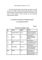 Konspekts 'Datora aparatūras sastāvdaļa - datorpele. Ergonomika sekretāres darba vietā', 5.