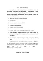 Konspekts 'Datora aparatūras sastāvdaļa - datorpele. Ergonomika sekretāres darba vietā', 7.