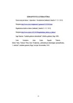 Konspekts 'Datora aparatūras sastāvdaļa - datorpele. Ergonomika sekretāres darba vietā', 15.