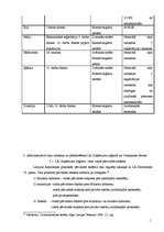 Referāts 'Uzņēmumu reģistrs', 14.