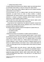 Referāts 'Uzņēmumu reģistrs', 36.