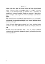 Referāts 'Antīkās Olimpiskās spēles', 8.