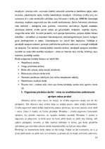 Diplomdarbs 'Arodfaktori ambulatorās aprūpes māsas praksē', 14.