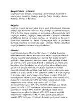 Referāts 'Ungārija', 2.