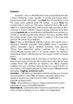 Referāts 'Ungārija', 10.