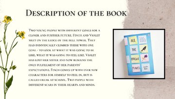 Prezentācija 'Homereading "All the bright places"', 3.