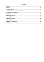 Referāts 'Vadītāja loma kolektīva mikroklimata veidošanā', 2.