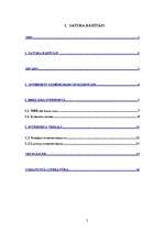 Referāts 'Internets uzņēmējdarbībā', 2.