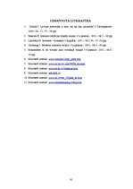 Referāts 'Internets uzņēmējdarbībā', 16.