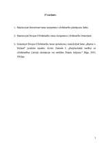 Konspekts 'Cilvēktiesības', 2.