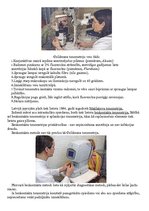 Konspekts 'Glaukoma', 2.