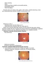 Konspekts 'Glaukoma', 5.