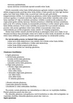 Konspekts 'Glaukoma', 12.