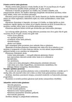 Konspekts 'Glaukoma', 13.