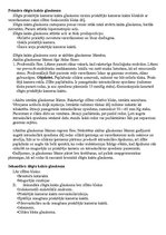 Konspekts 'Glaukoma', 14.