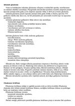 Konspekts 'Glaukoma', 15.