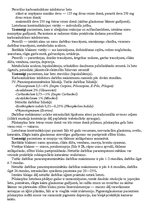 Konspekts 'Glaukoma', 18.