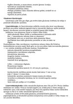 Konspekts 'Glaukoma', 21.