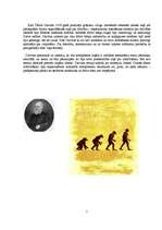 Referāts 'Cilvēku rašanās teorijas', 5.