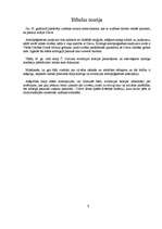 Referāts 'Cilvēku rašanās teorijas', 6.