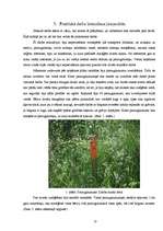 Referāts 'Mēness kalendāra ietekme uz jaunaudžu kopšanas efektivitāti', 17.