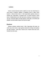 Konspekts 'Lēciens no vietas', 3.