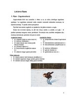 Konspekts 'Lēciens no vietas', 4.