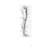 Konspekts 'Lēciens no vietas', 10.