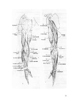 Konspekts 'Lēciens no vietas', 11.