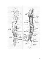 Konspekts 'Lēciens no vietas', 12.
