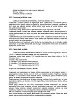 Referāts 'Lēmumu pieņemšana ražošanas uzņēmumā', 9.