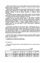 Referāts 'Lēmumu pieņemšana ražošanas uzņēmumā', 29.