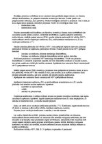 Referāts 'Lēmumu pieņemšana ražošanas uzņēmumā', 57.