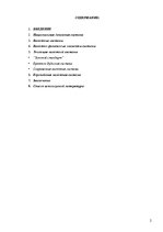 Referāts 'Валютные системы', 1.