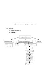Paraugs 'Обоснование выбора юридической формы бизнеса', 6.