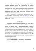 Referāts 'Tele2', 6.