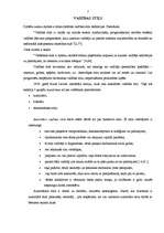 Referāts 'Vadības stili izglītības iestādēs', 3.