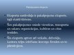 Referāts 'Eksports', 17.