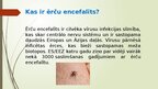 Prezentācija 'Ērču encefalīts', 2.