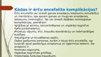 Prezentācija 'Ērču encefalīts', 6.